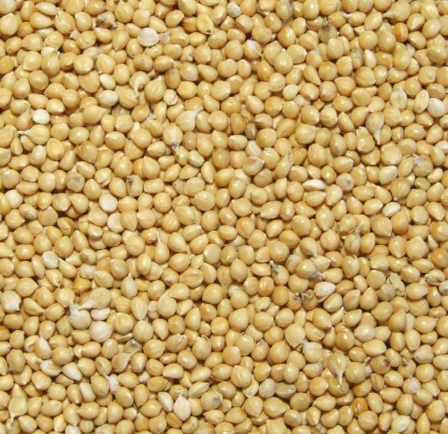 Просо, тип білий та кремовий (І), 1 клас, ДСТУ 5026, 1 кг